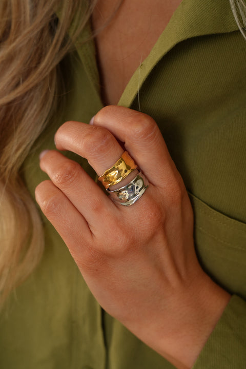 Ilo bicolore - Bague acier