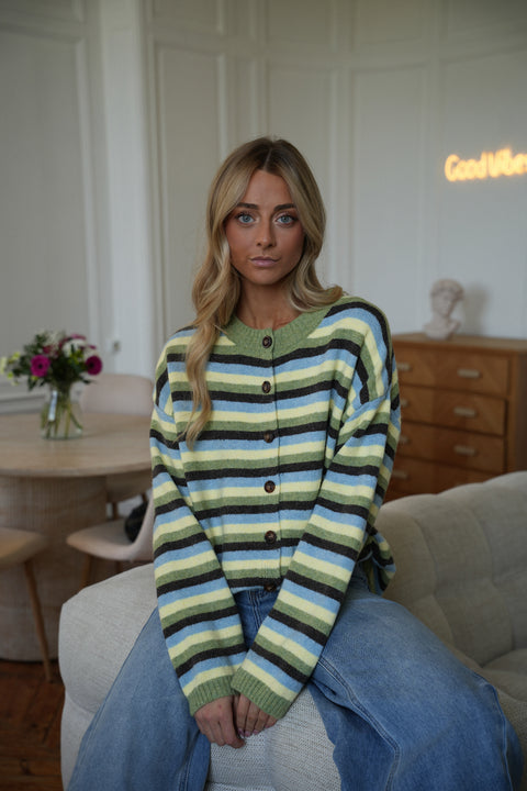 Victor vert - Gilet rayé