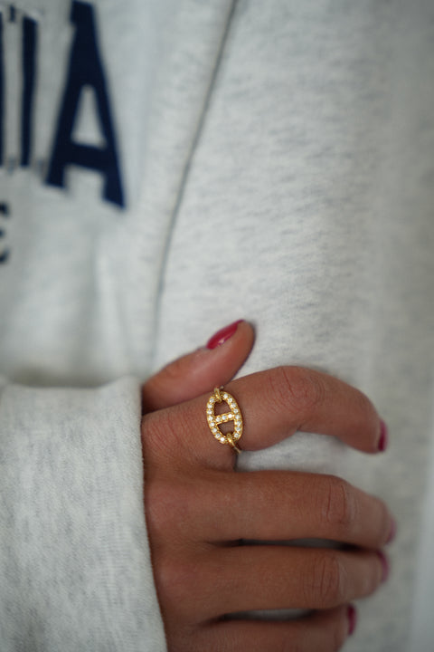 Nolan dorée - Bague acier