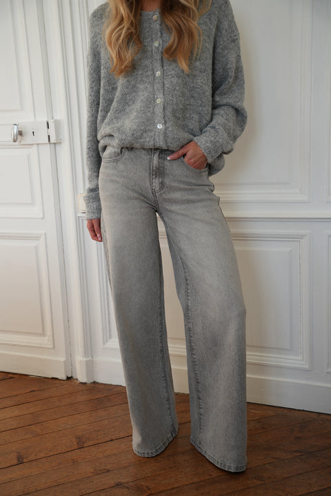 Charlotte gris - Jean à paillettes