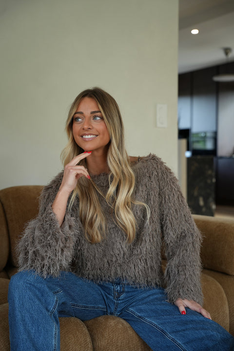 Greta taupe - Blouse plumes